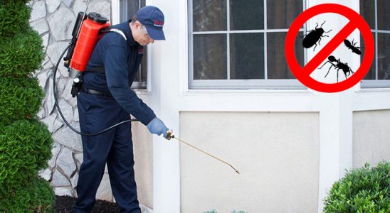 Malazgirt Bit İlaçlama böcek ilaçlama ve haşere kontrolü — ilaclama-tr.com